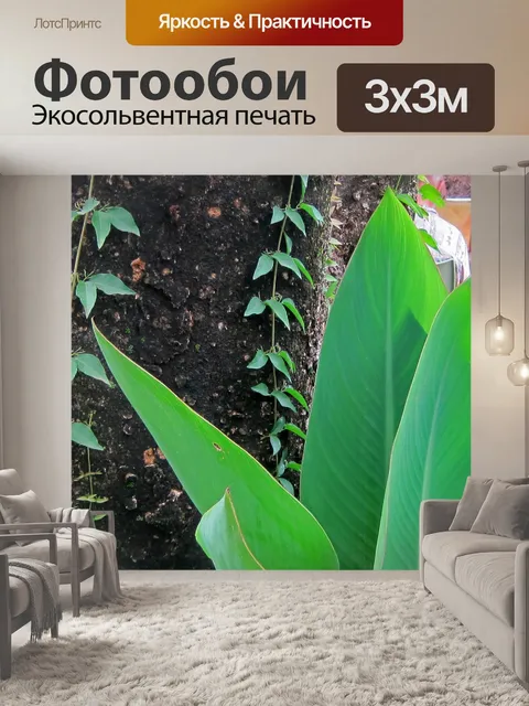 Фотообои Большие листья канны