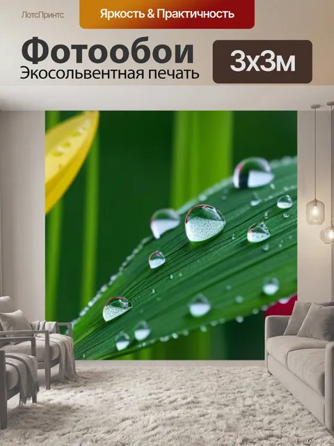 Фотообои тюльпан в каплях утренней росы