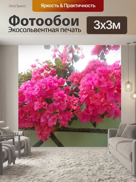 Фотообои Розовые цветы бугенвилии