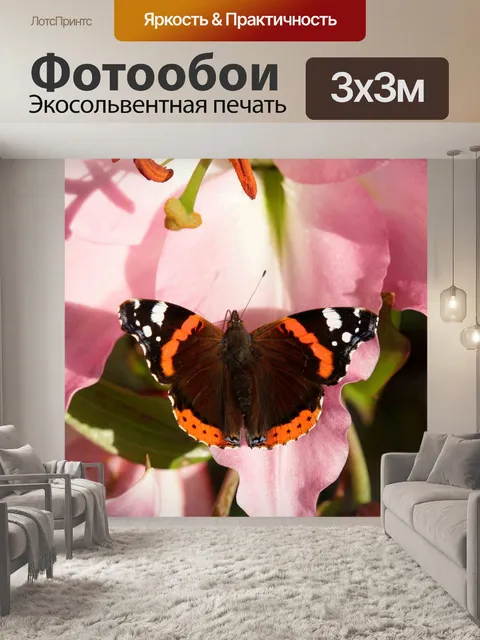 Фотообои Бабочка