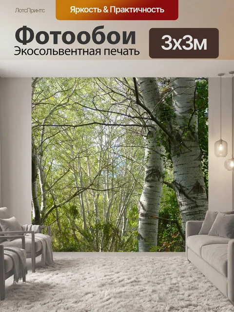Фотообои Белый тополь