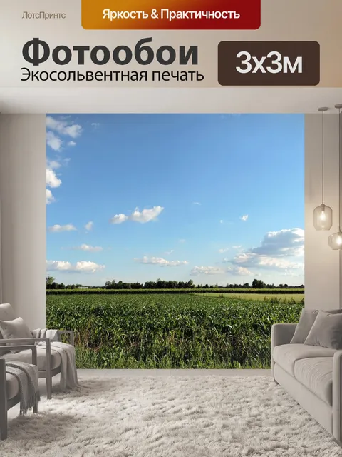 Фотообои Поле