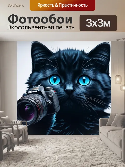 Фотообои с котенком держись