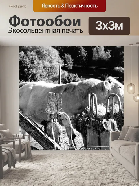Фотообои Черный и белый