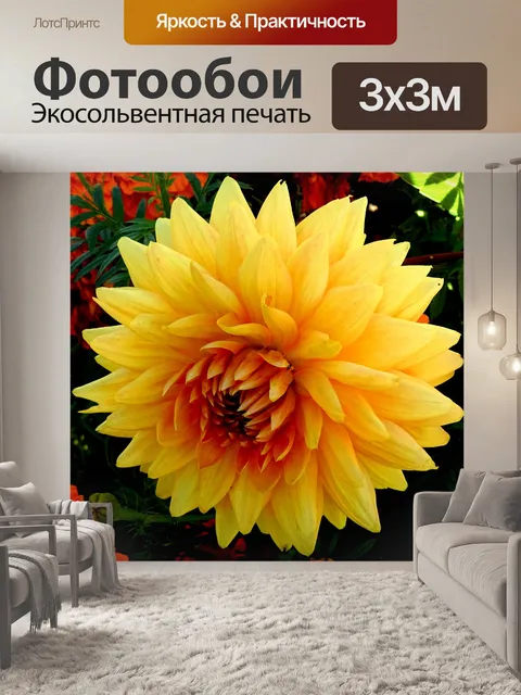 Фотообои Красивый желтый цветок
