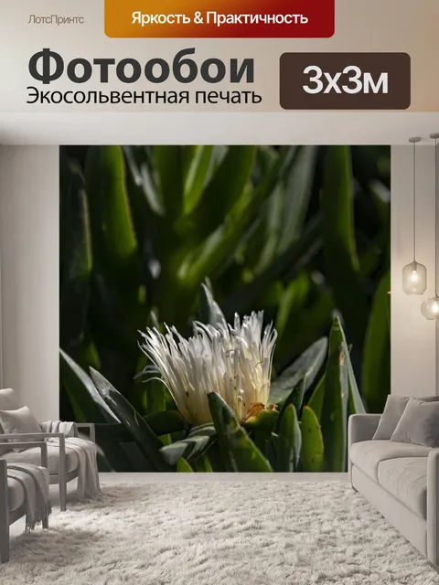 Фотообои Ледяной завод цветок крупным планом