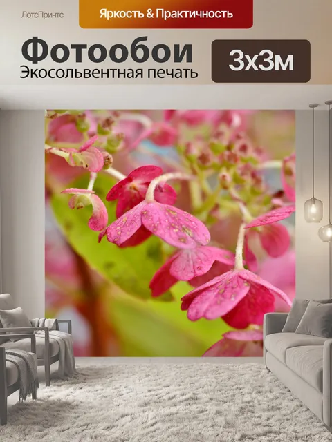 Фотообои Гортензия