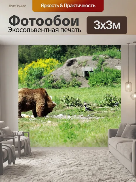 Фотообои Медведь