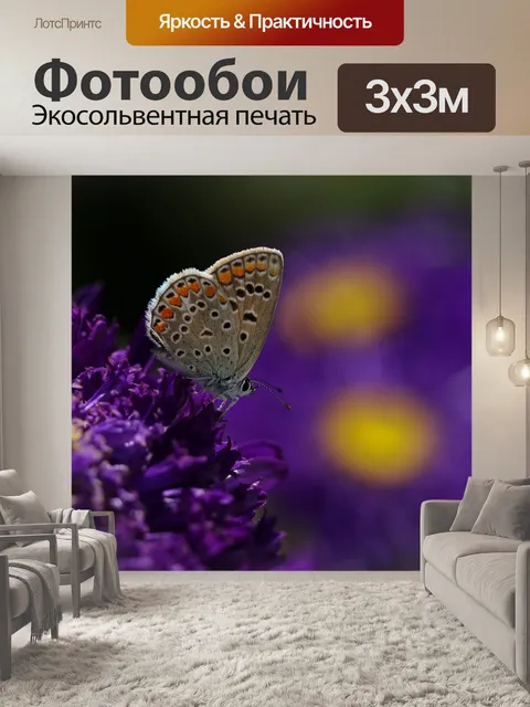 Фотообои Бабочка