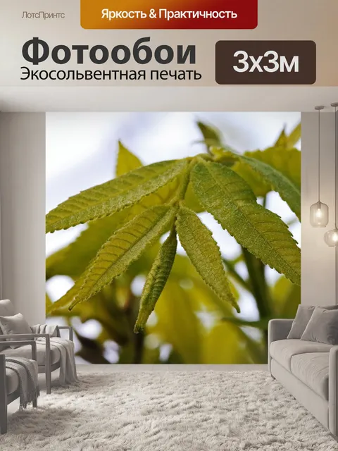 Фотообои нежные молодые листья ореха пекан
