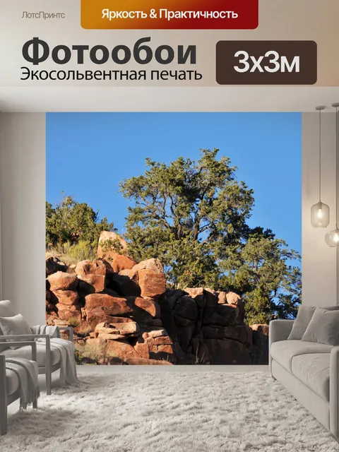 Фотообои Деревья и Red Rocks