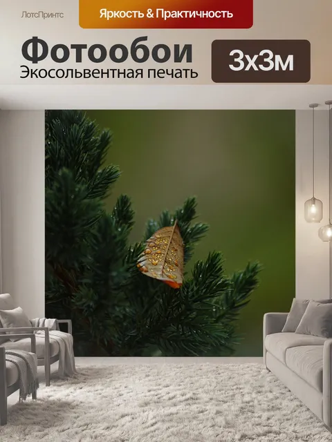 Фотообои Лист