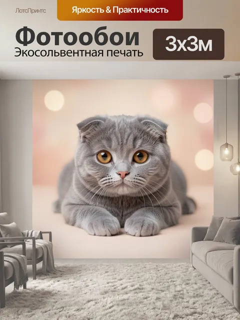 Фотообои Серый кот с большими глазами