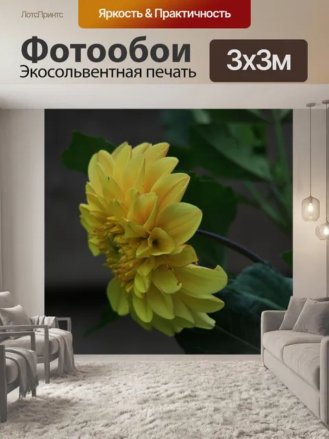 Фотообои желтые георгины