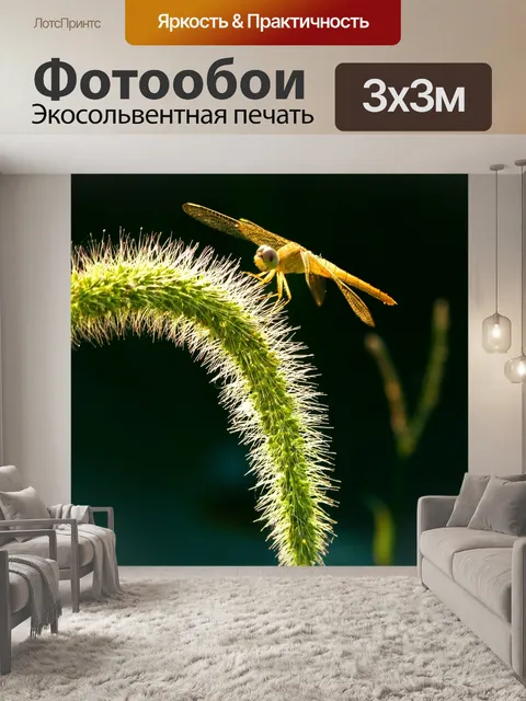 Фотообои Стрекоза