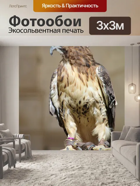 Фотообои Птицы