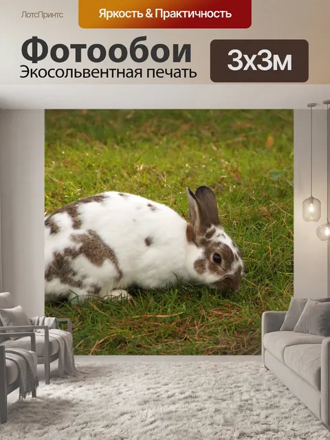 Фотообои Зайчик кролик зайчик пасха