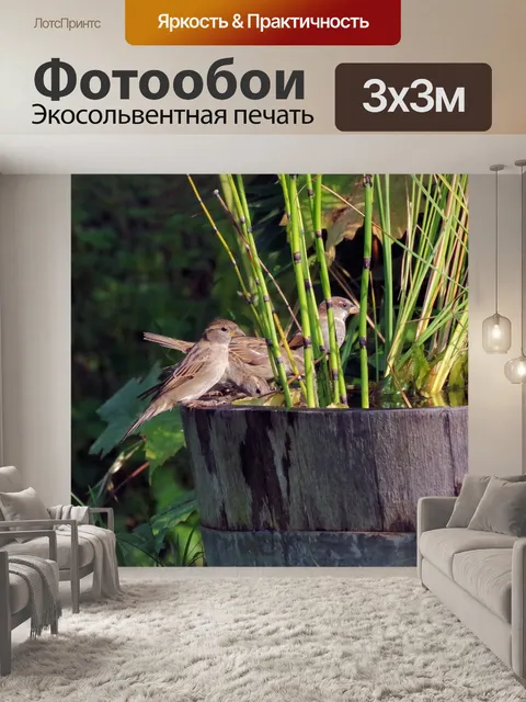 Фотообои Птица