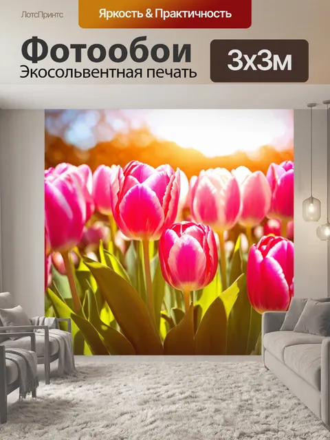 Фотообои розовые тюльпаны под ярким солнечным светом; натюрмортное изображение