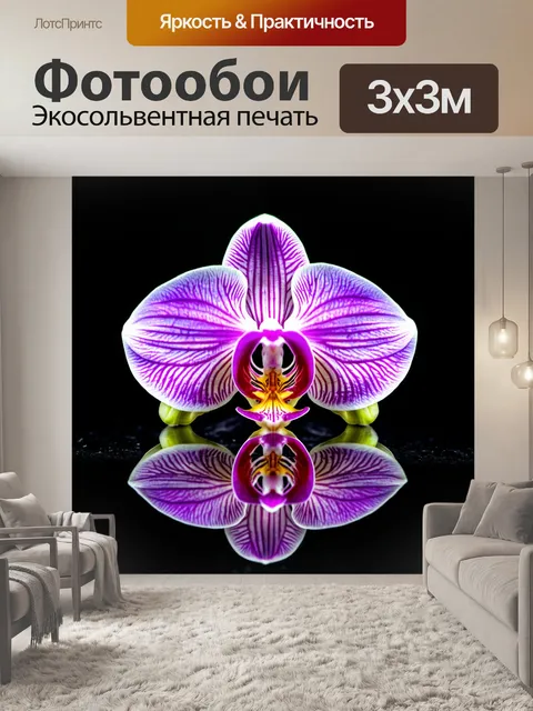 Фотообои орхидея с отражением на поверхности зеркала