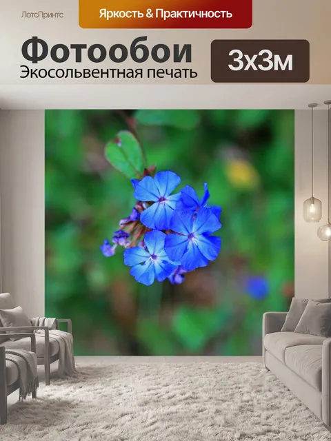 Фотообои нежные синие цветы