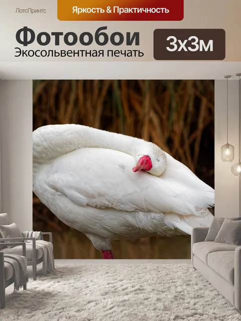 Фотообои Спать