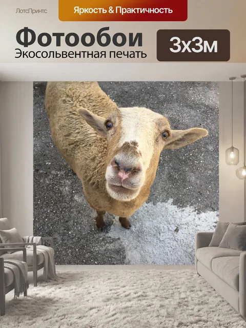 Фотообои Животное