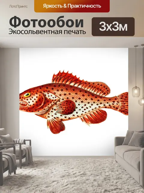 Фотообои Клипарт рыба винтаж нарисованная