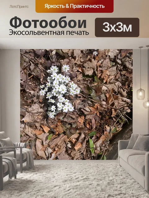 Фотообои Белые цветы весной
