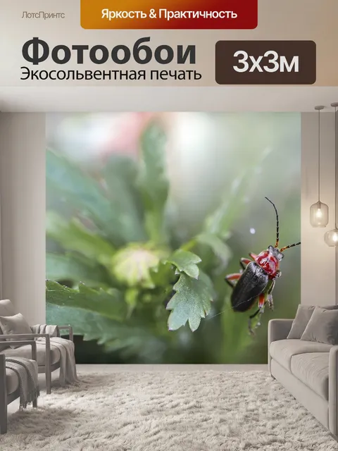 Фотообои Жук