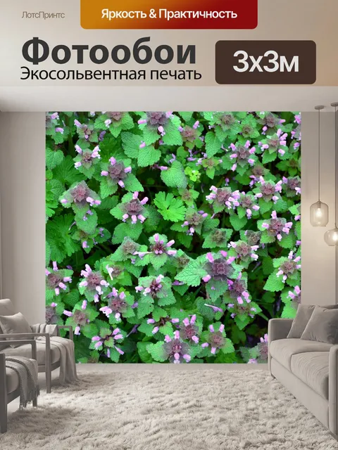 Фотообои Флора