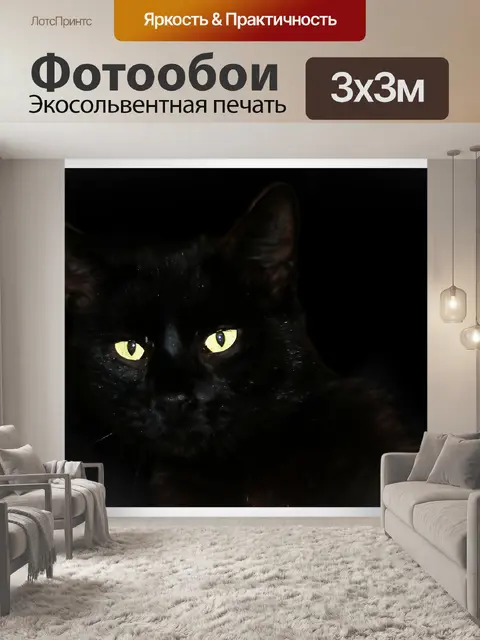 Фотообои Кот