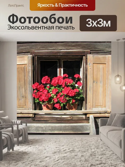 Фотообои Окно