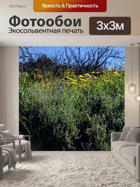 Фотообои Полевые цветы