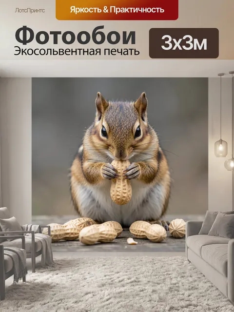 Фотообои Бурундук с арахисом