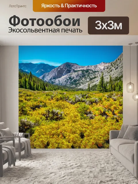 Фотообои природный чудо гор с редкими растениями и удивительными текстурами, стиль ландшафтной фотографии