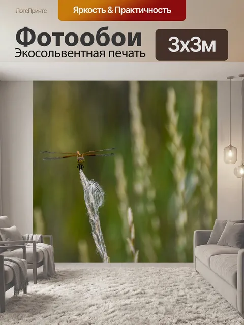 Фотообои стрекоза