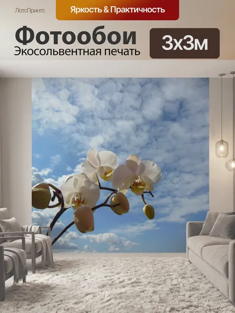 Фотообои Орхидея
