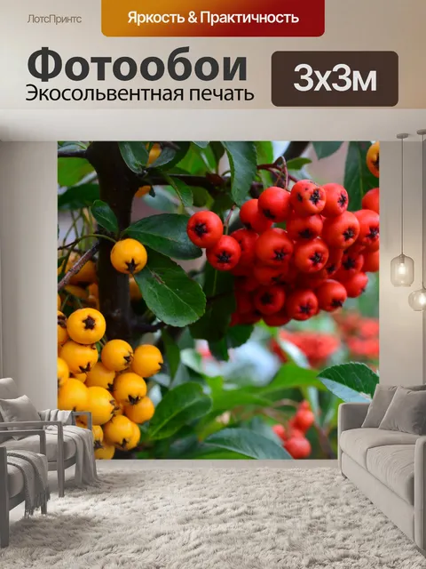 Фотообои желтых и красных ягод