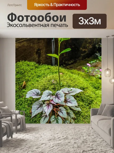 Фотообои Ландшафтный сад, лесной стиль