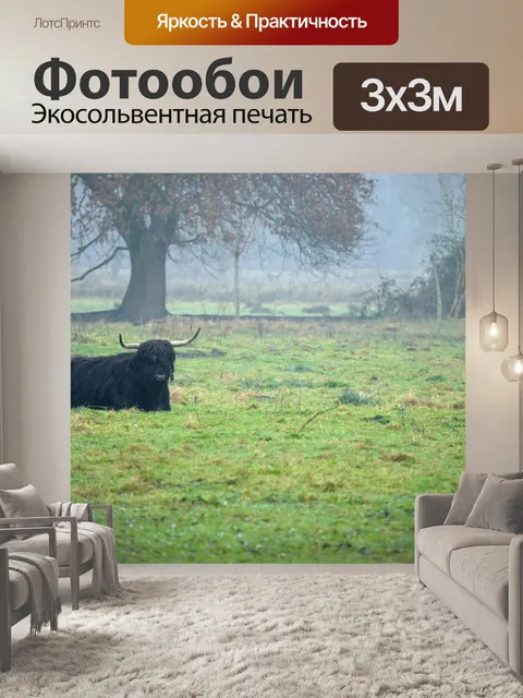 Фотообои Туман