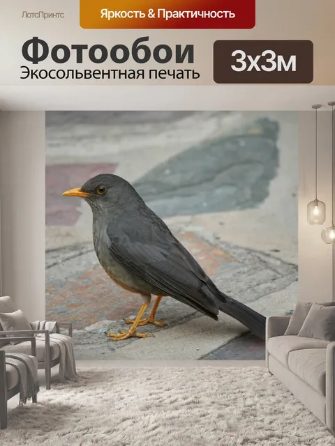 Фотообои Животное
