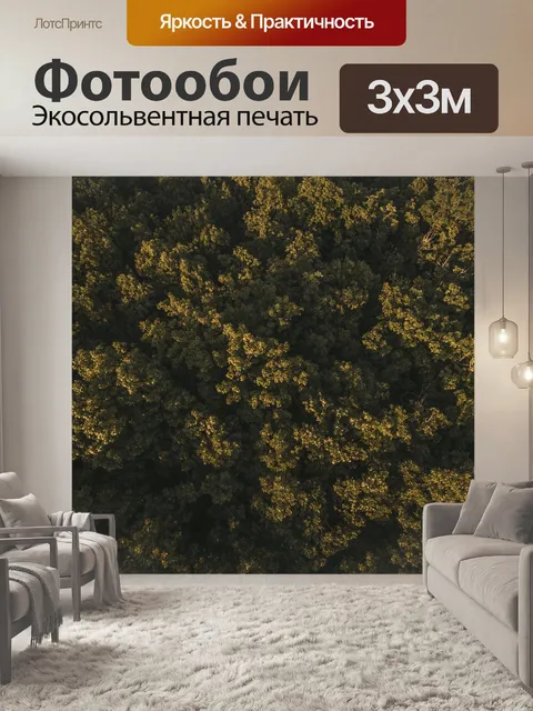 Фотообои С высоты птичьего полета