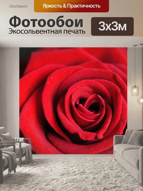 Фотообои Красная роза
