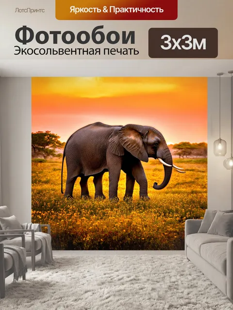 Фотообои огромный матриархический слон выступает на фоне заката, его массивное тело освещается теплым светом