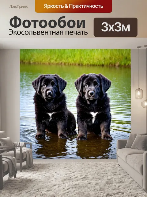 Фотообои щенки ньюфаундленда, охраняющие свое маленькое озеро, с добрыми взглядами