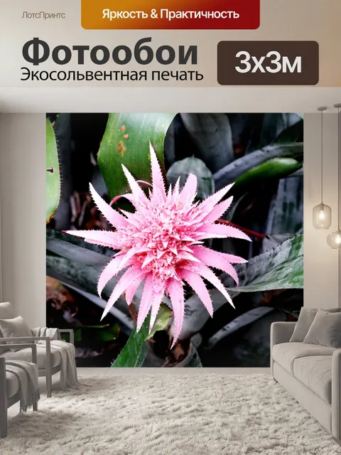 Фотообои Гавайи