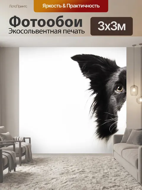 Фотообои Собака