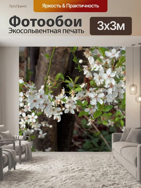 Фотообои Белые цветки