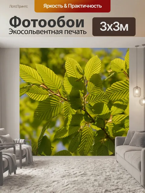 Фотообои Зеленые листья кустарника